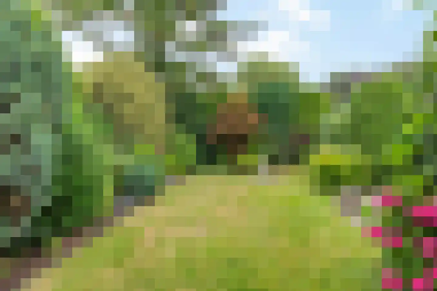 Groenhof 52 Joure thumbnail 35