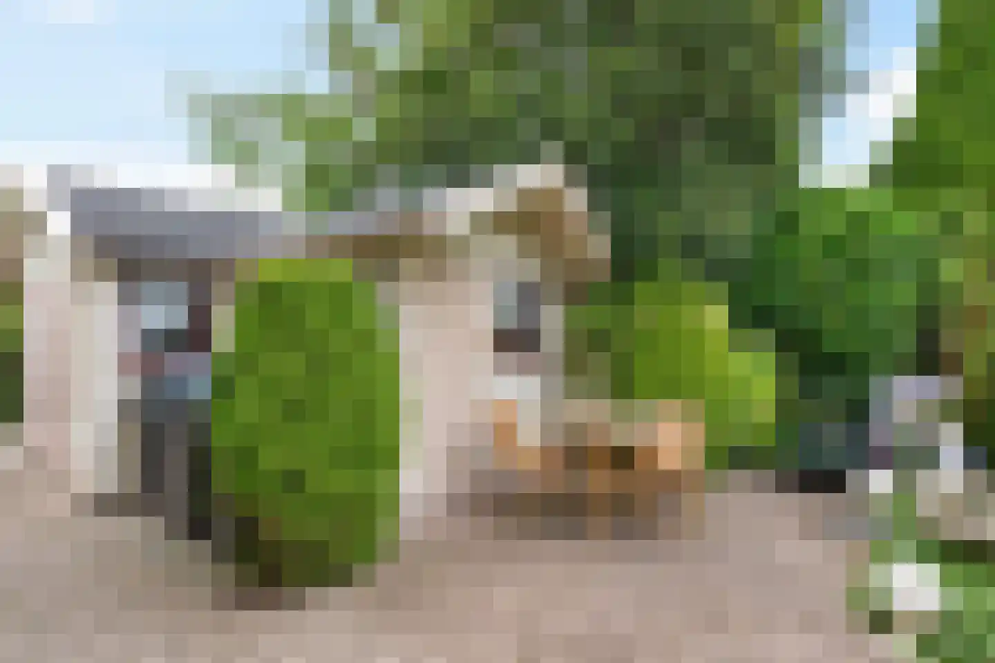 Groenhof 52 Joure thumbnail 37