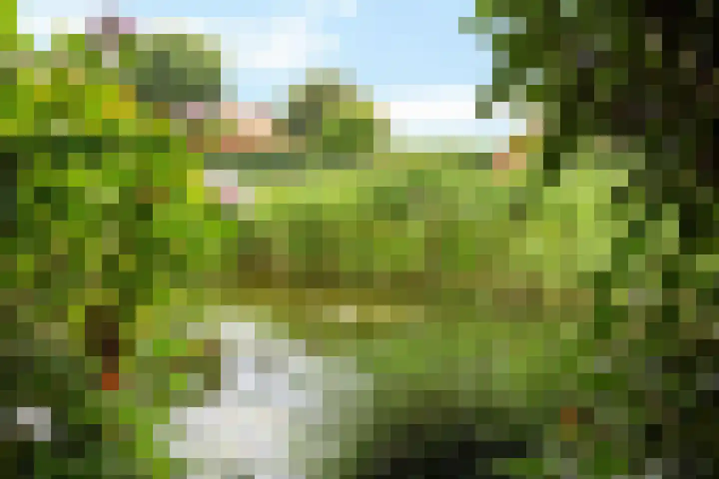 Groenhof 52 Joure thumbnail 38