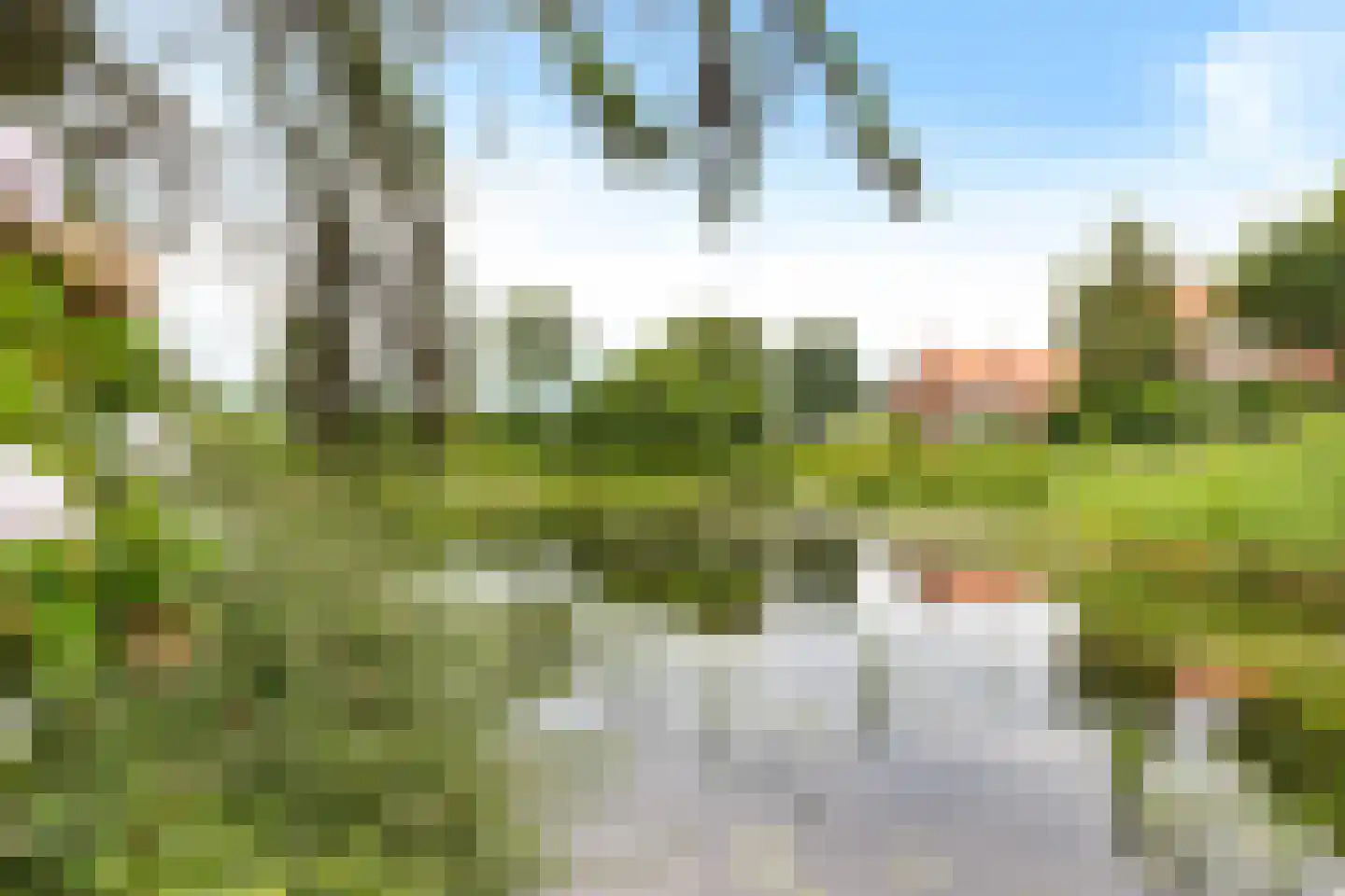 Groenhof 52 Joure thumbnail 39
