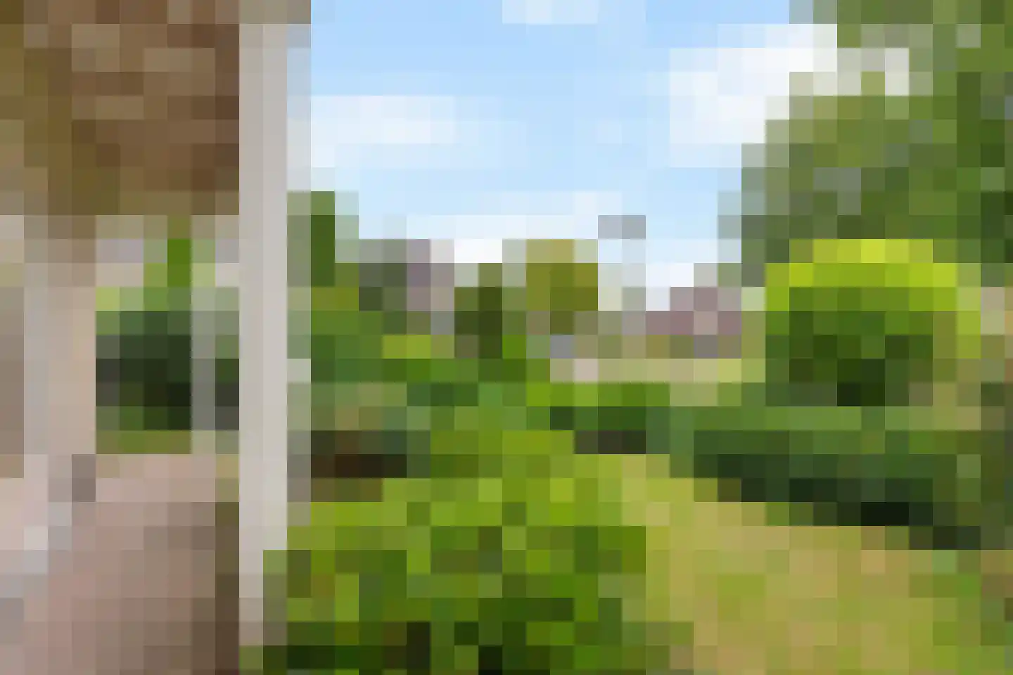 Groenhof 52 Joure thumbnail 42