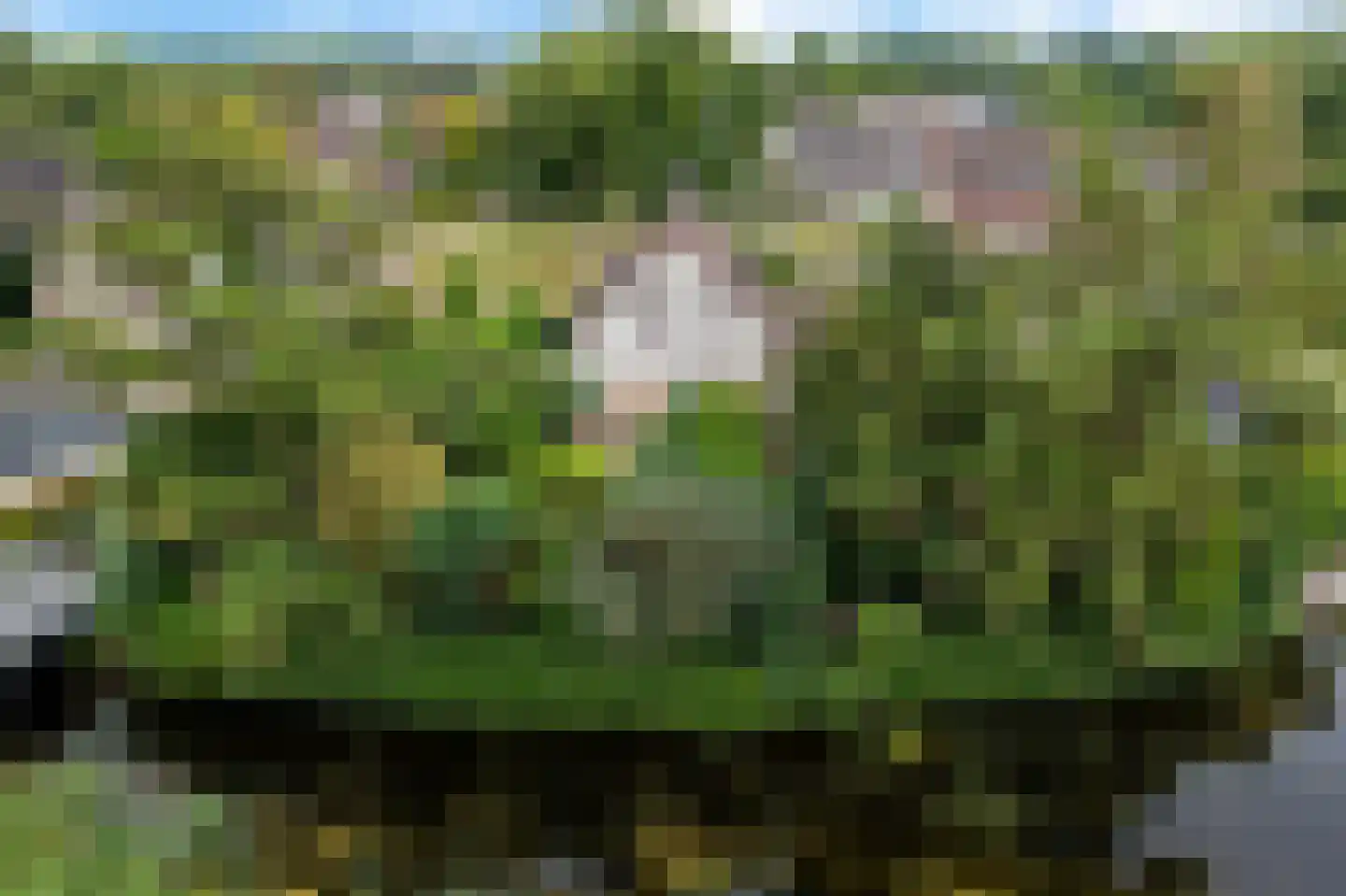Groenhof 52 Joure thumbnail 44