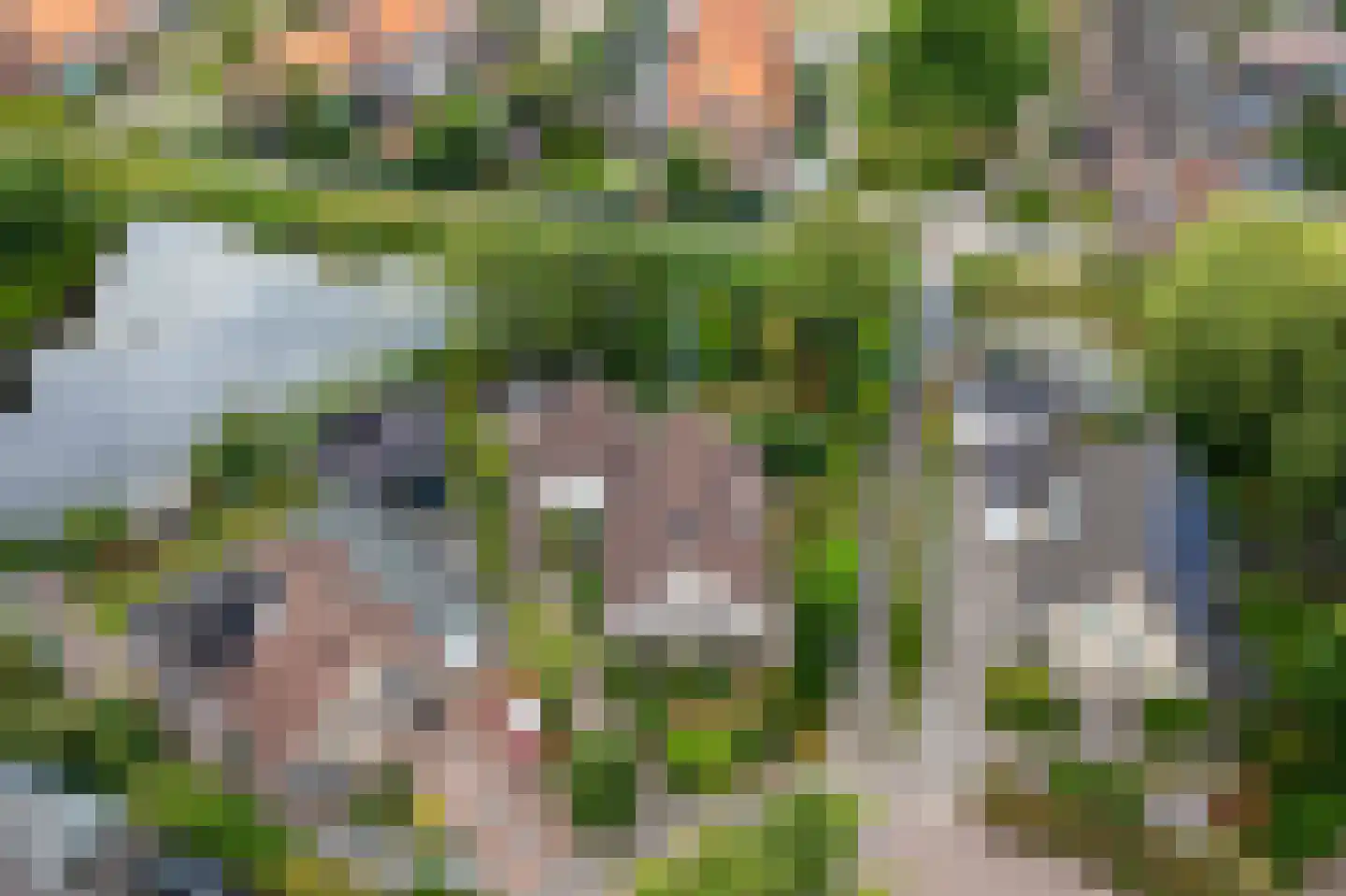 Groenhof 52 Joure thumbnail 45