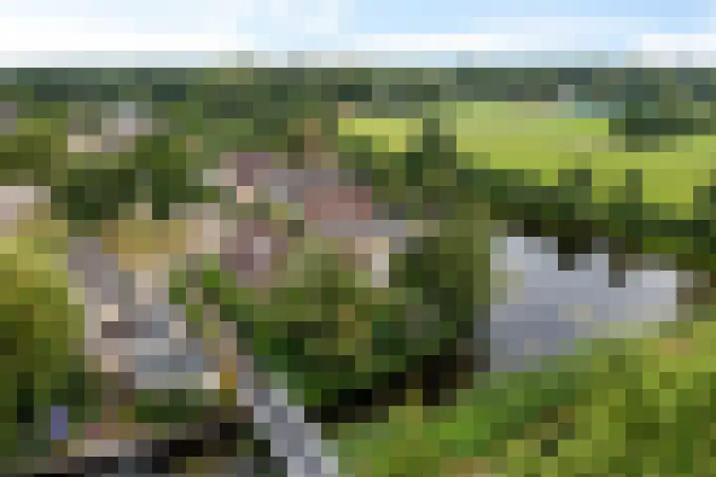 Groenhof 52 Joure thumbnail 48