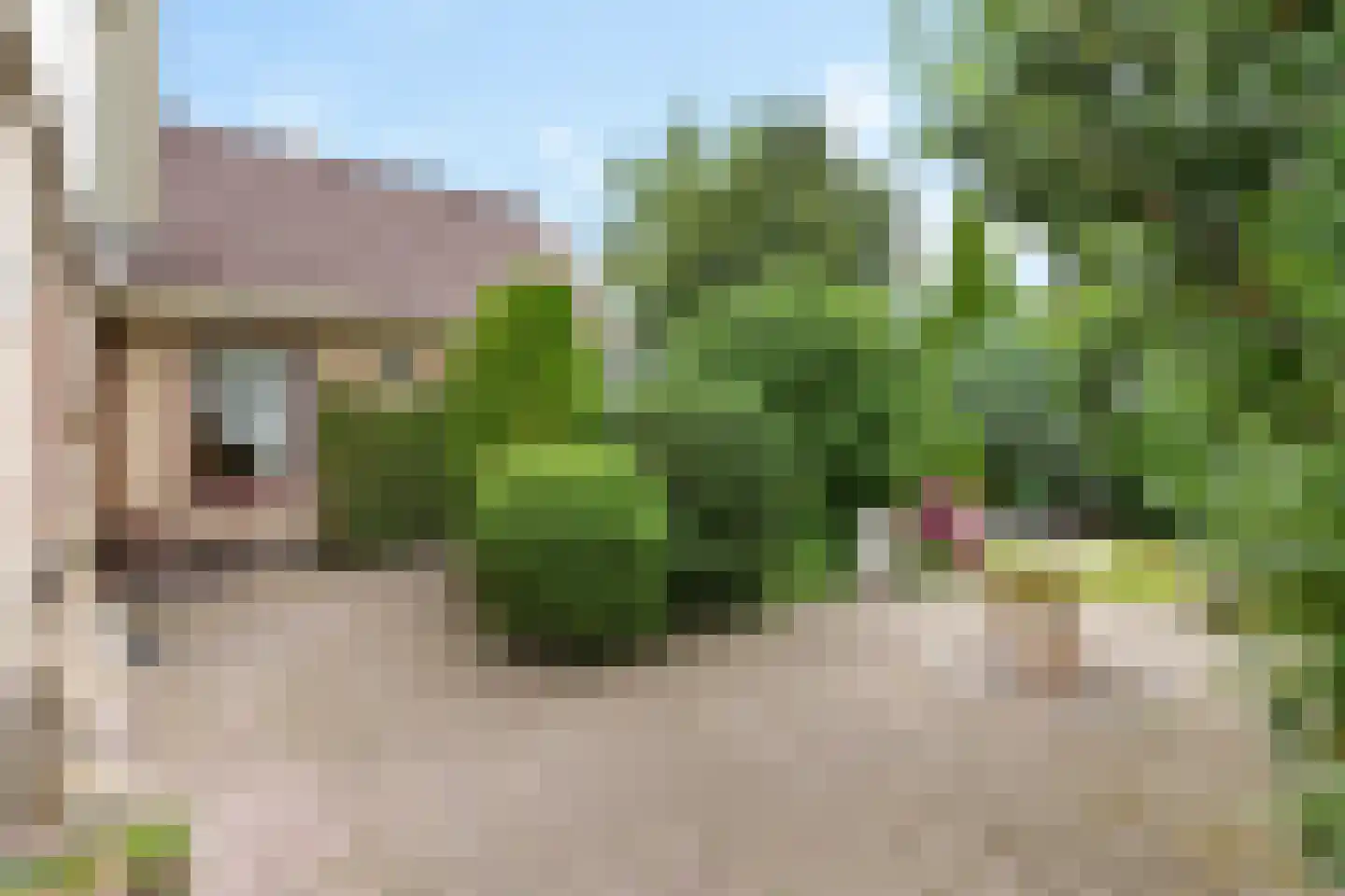 Groenhof 52 Joure thumbnail 5