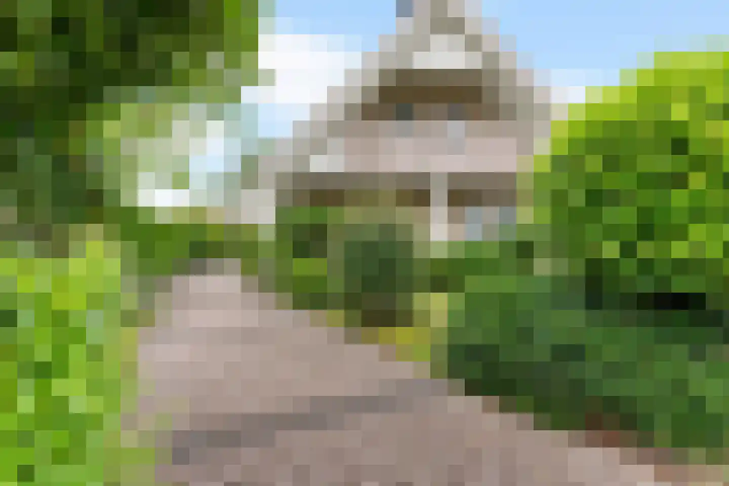 Groenhof 52 Joure thumbnail 6