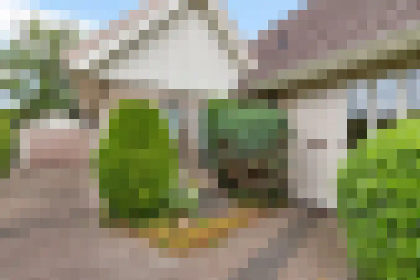Groenhof 52 Joure thumbnail 7