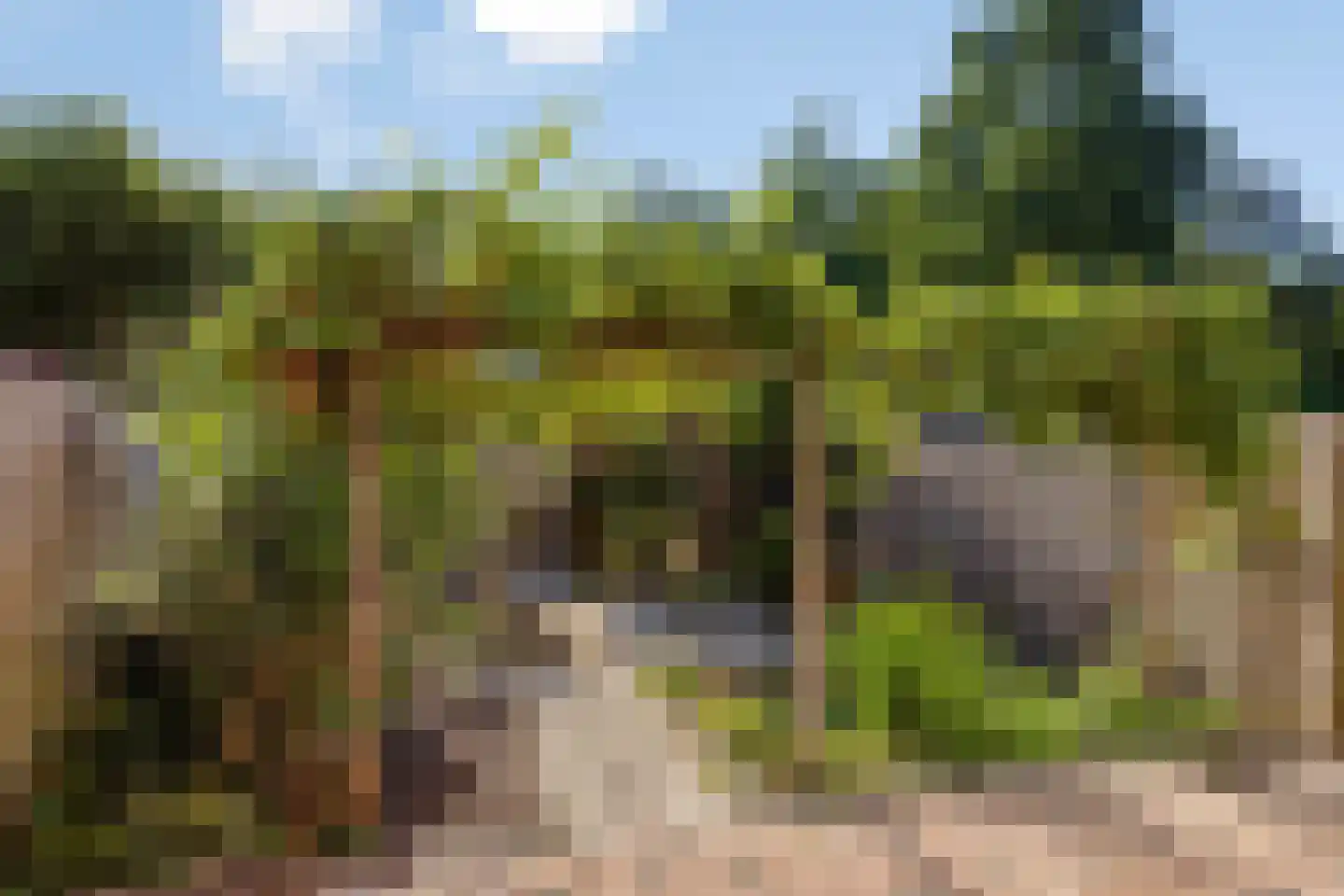 Groenhof 55 Almere thumbnail 4