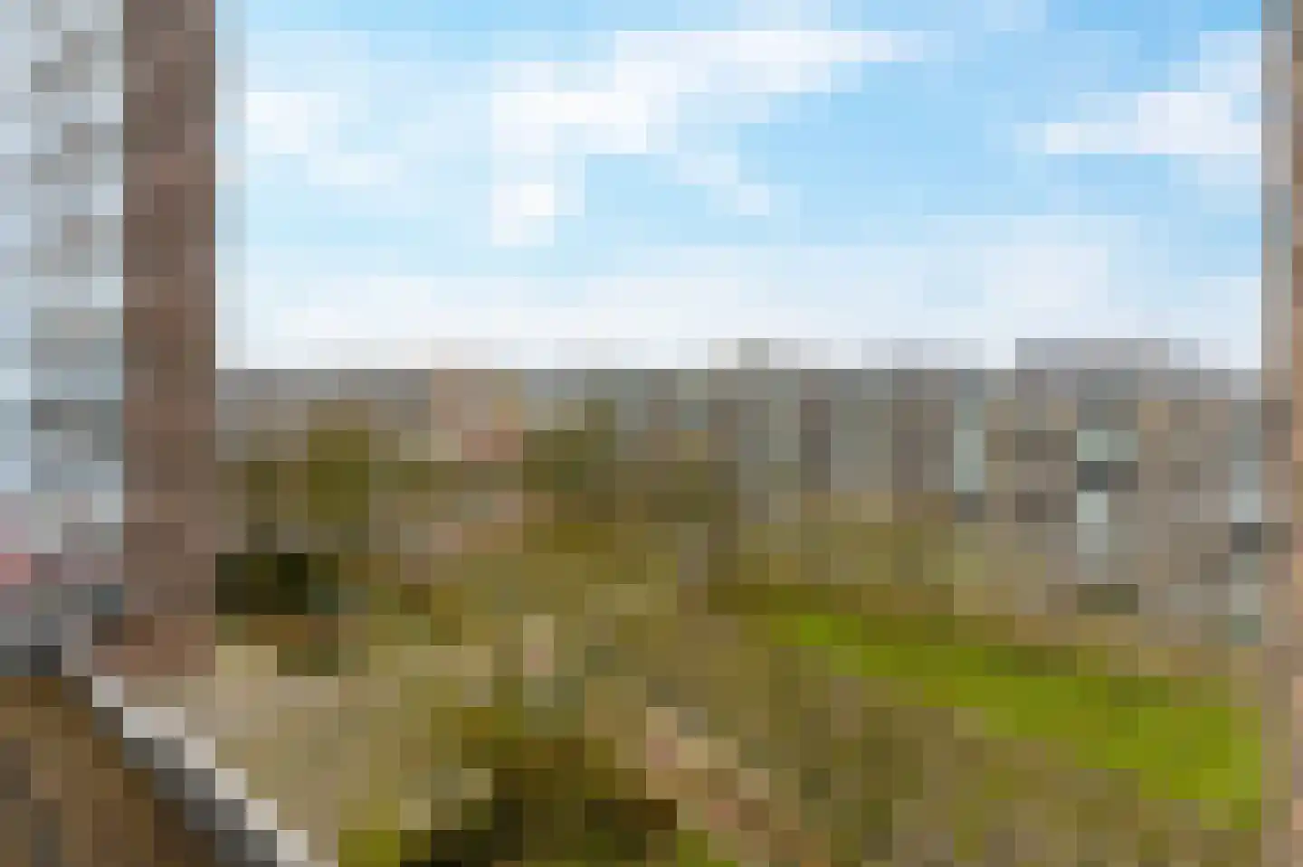 Groenhof 56 Amstelveen thumbnail 13