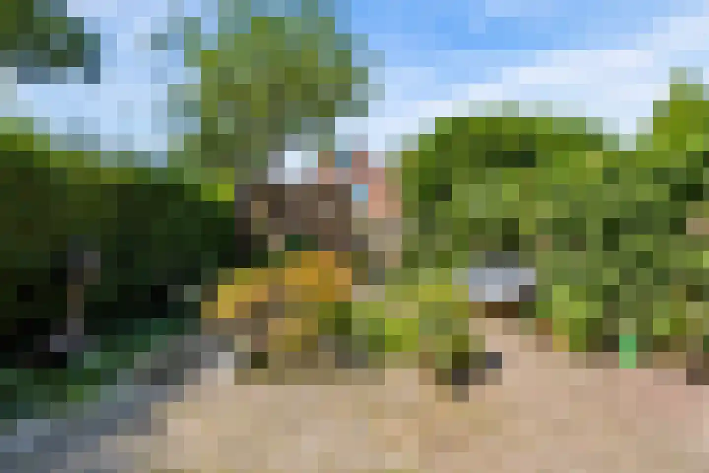 Groenhof 58 Almere thumbnail 36