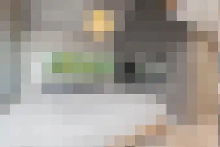 Groenhof 6 Almere thumbnail 24