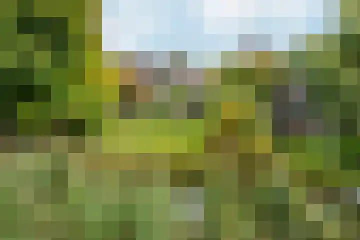 Groenhof 6 Almere thumbnail 42