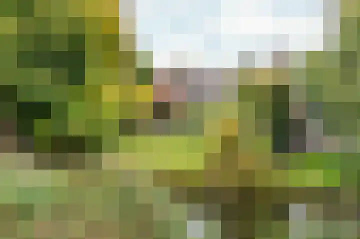 Groenhof 6 Almere thumbnail 43