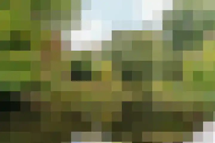 Groenhof 6 Almere thumbnail 44