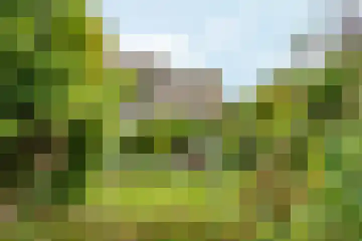 Groenhof 6 Almere thumbnail 45