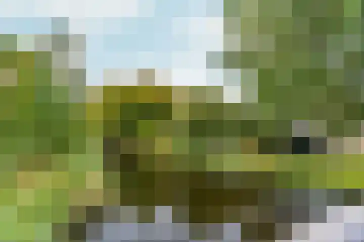 Groenhof 6 Almere thumbnail 46