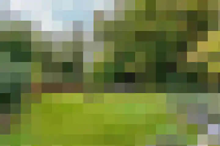 Groenhof 6 Almere thumbnail 47