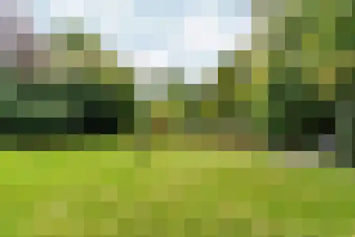 Groenhof 6 Almere thumbnail 48
