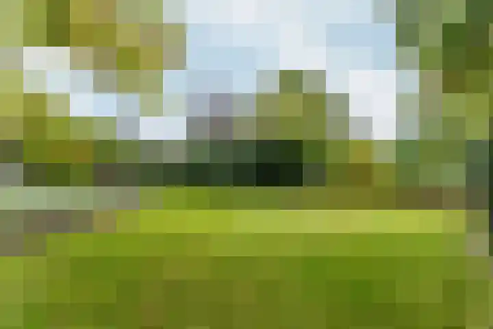 Groenhof 6 Almere thumbnail 49