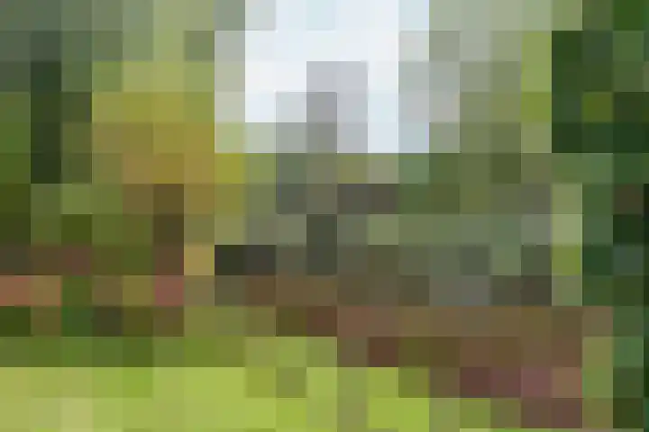 Groenhof 6 Almere thumbnail 54