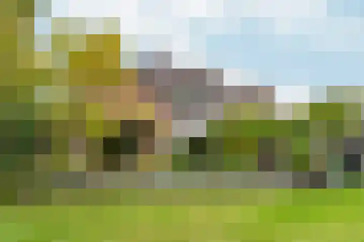 Groenhof 6 Almere thumbnail 55