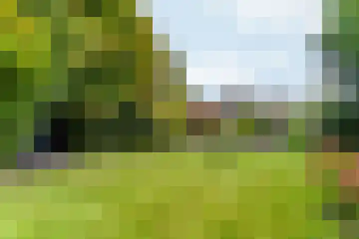 Groenhof 6 Almere thumbnail 56