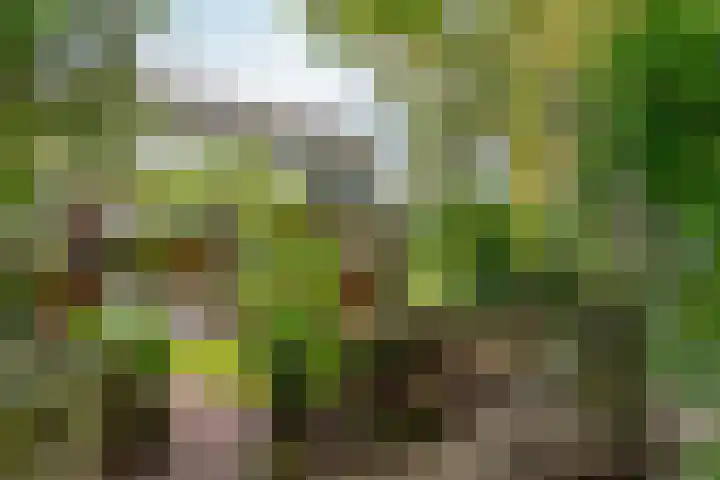 Groenhof 6 Almere thumbnail 63