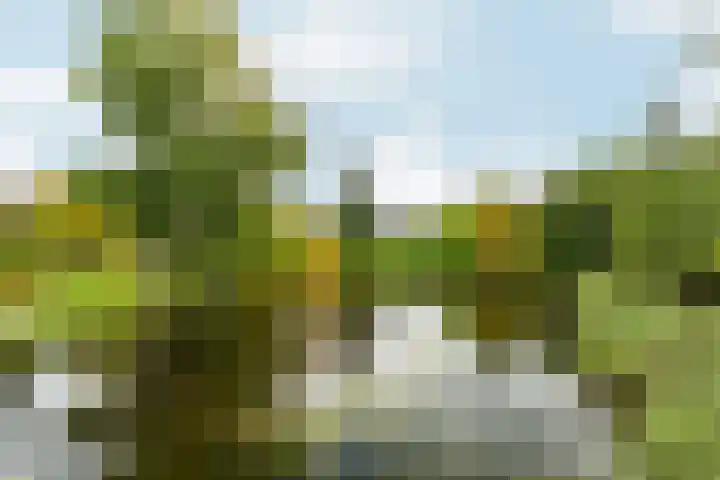 Groenhof 6 Almere thumbnail 68