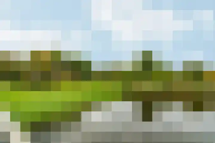 Groenhof 6 Almere thumbnail 69