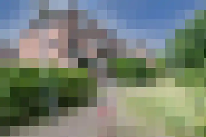 Groenhof 66 Almere thumbnail 40