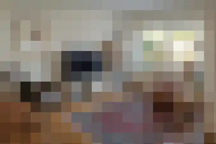 Groenhof 8 Joure thumbnail 12