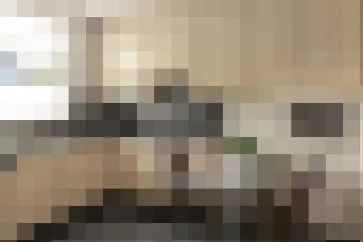 Groenhof 8 Joure thumbnail 14