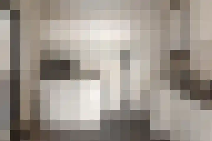 Groenhof 8 Joure thumbnail 15