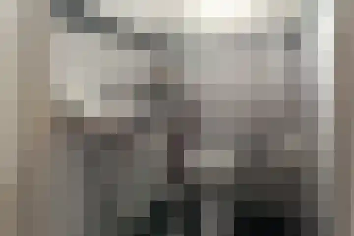 Groenhof 8 Joure thumbnail 16