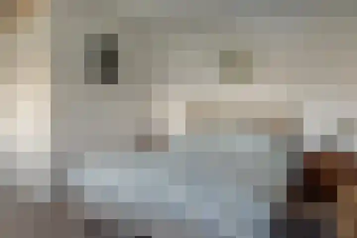 Groenhof 8 Joure thumbnail 20