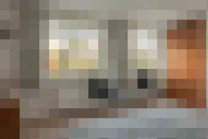 Groenhof 8 Joure thumbnail 21