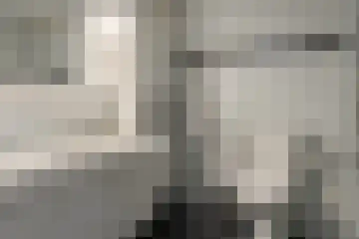 Groenhof 8 Joure thumbnail 22