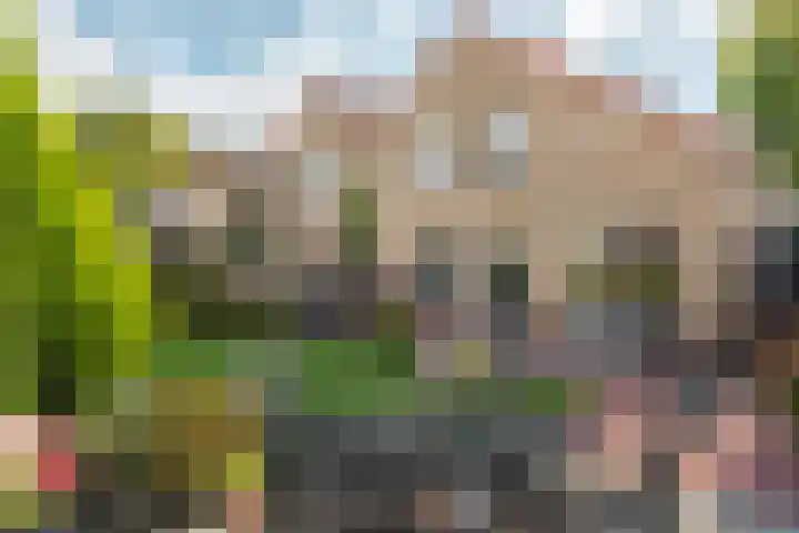 Groenhof 8 Joure thumbnail 24