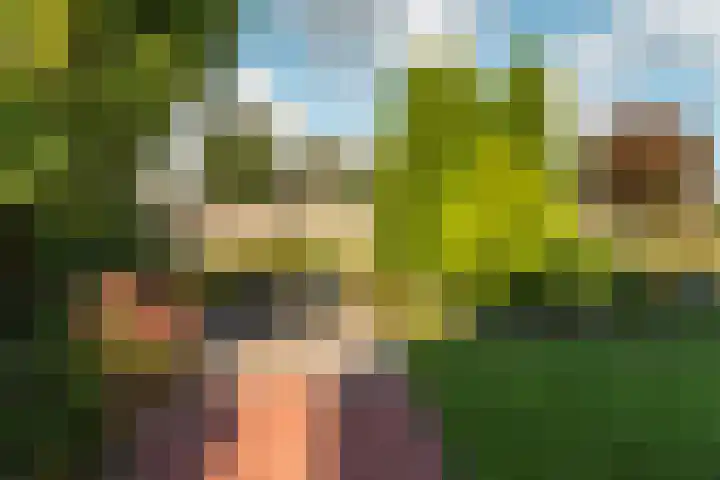 Groenhof 8 Joure thumbnail 25