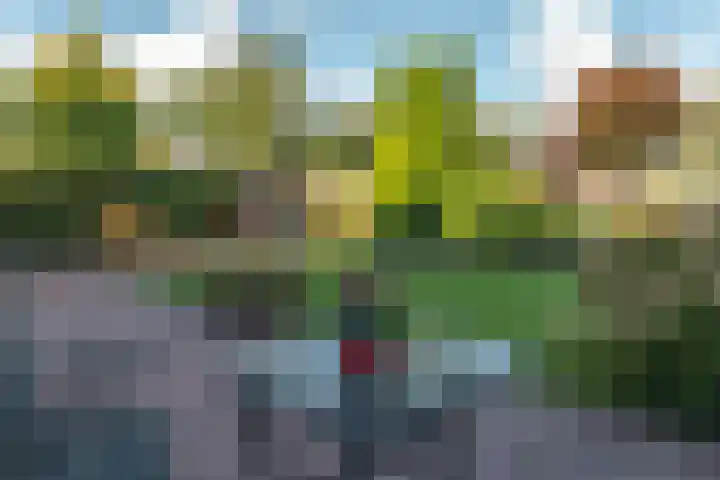 Groenhof 8 Joure thumbnail 26