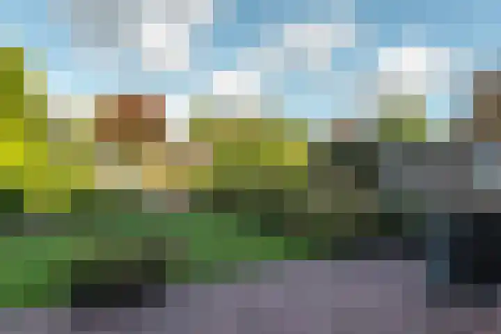 Groenhof 8 Joure thumbnail 27