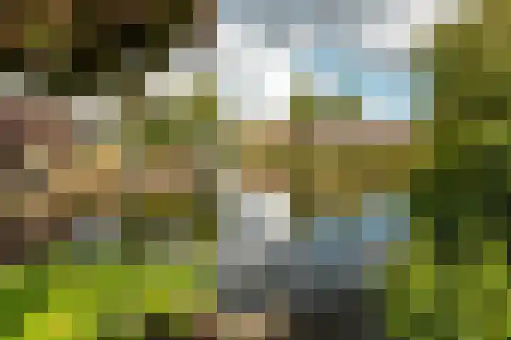 Groenhof 8 Joure thumbnail 28