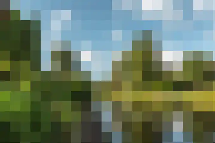 Groenhof 8 Joure thumbnail 29