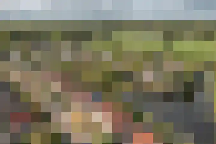 Groenhof 8 Joure thumbnail 33