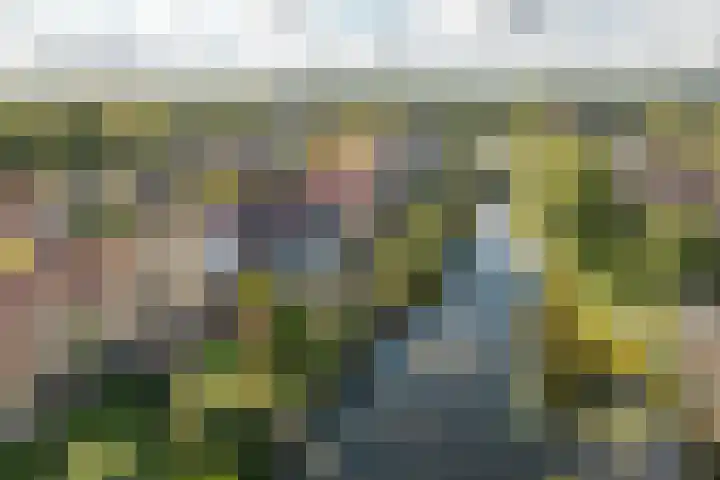 Groenhof 8 Joure thumbnail 34