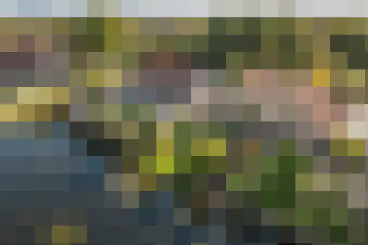 Groenhof 8 Joure thumbnail 35