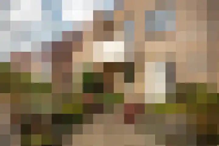 Groenhof 8 Joure thumbnail 6