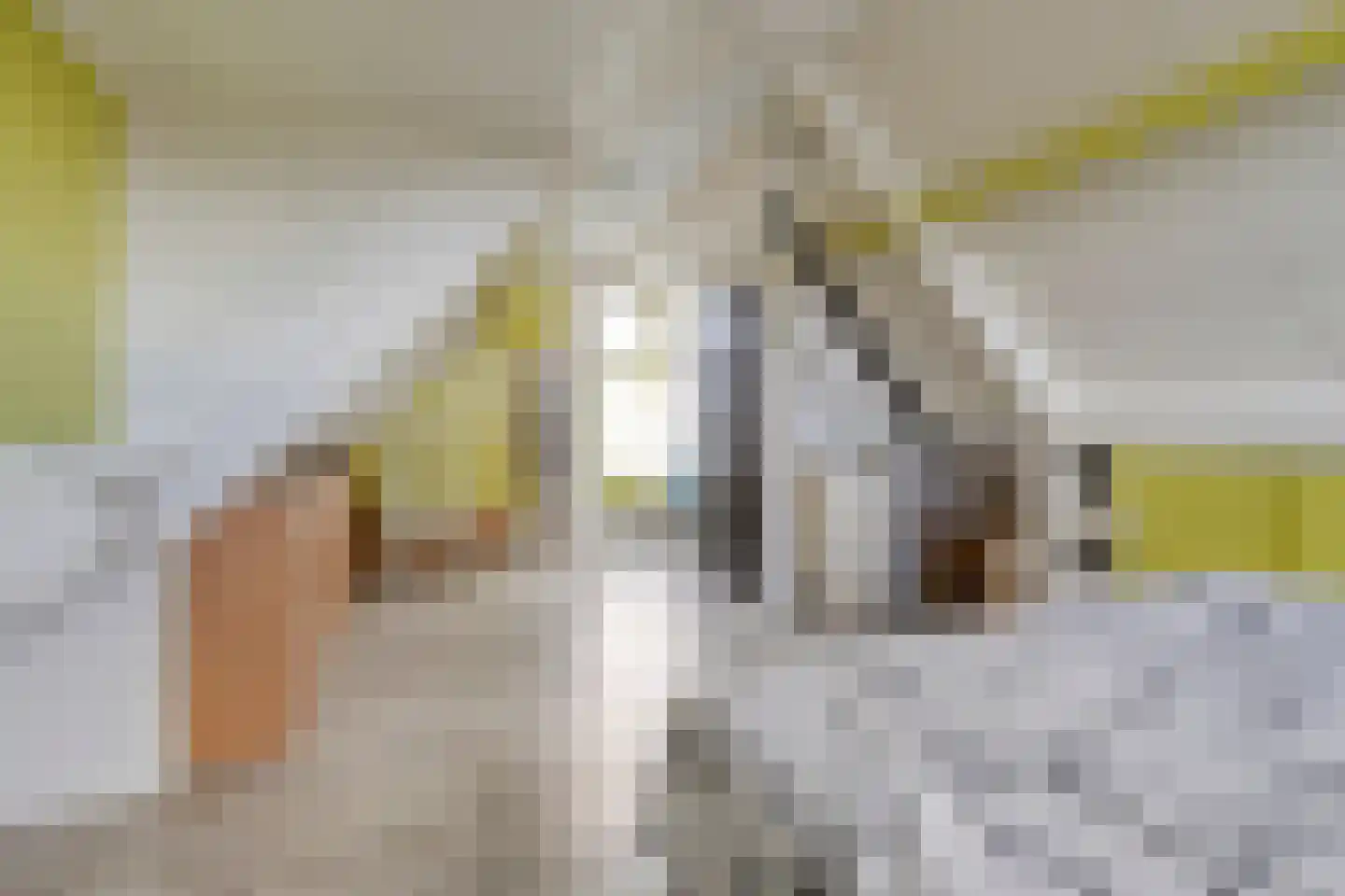 Groenhof 9 Huizen thumbnail 15