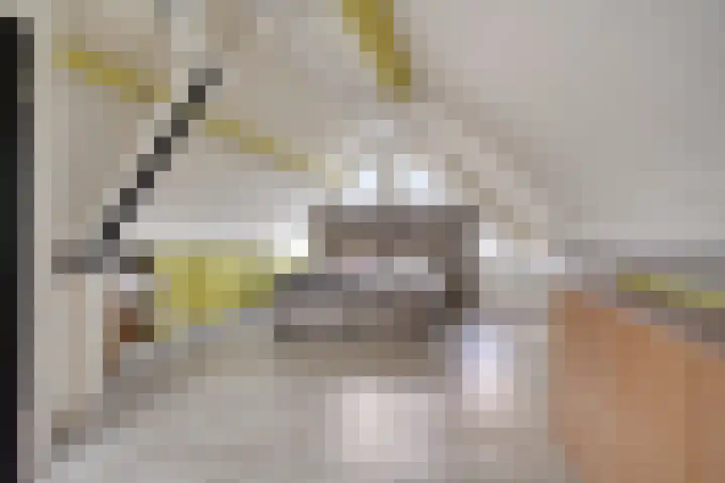 Groenhof 9 Huizen thumbnail 17