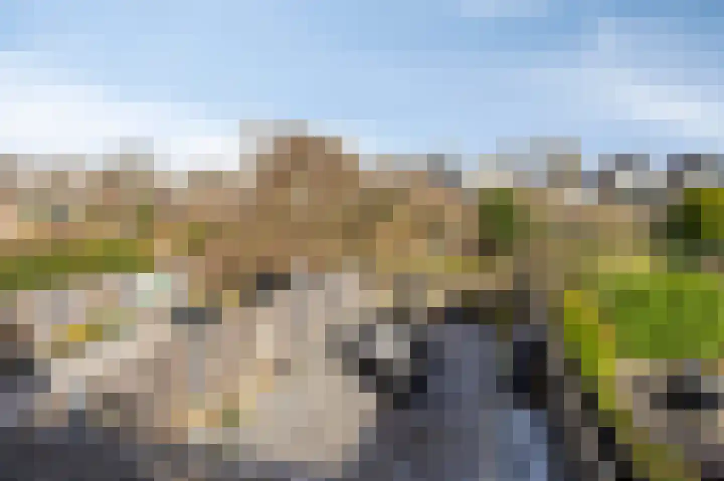 Groenhof 9 Huizen thumbnail 18